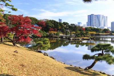 The Hamarikyu Gardens, located near the Hamamatsucho Station area in Tokyo, Japan