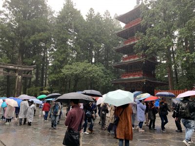 typhoon | Japan City Tour | Travel agency in Tokyo Rain during a typhoon in Japan, one of the disasters that strikes Japan besides earthquakes and tsunami