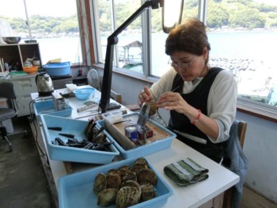 pearl farmer, Uwajima | Japan City Tour | Travel agency in Tokyo Pearl farmer in Uwajima, Shikoku, Japan
