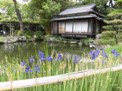 Tenshaen Garden, Uwajima, Ehime | Japan City Tour | Travel agency in Tokyo Tenshaen Garden, Uwajima, Ehime, Shikoku, Japan