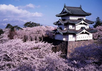 hirosaki castle cherry blossoms | Japan City Tour | Travel agency in Tokyo Hirosaki Castle with cherry blossoms, Aomori