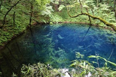 Aoike blue lake of the Juniko 12 lakes in Aomori, Japan