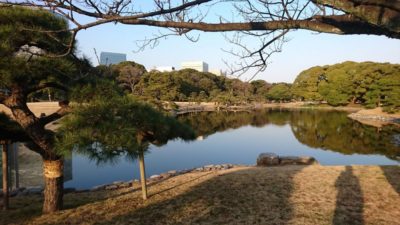 hamarikyu_garden | Japan City Tour | Travel agency in Tokyo Hamarikyu garden