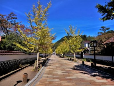 tonomachi dori tsuwano | Japan City Tour | Travel agency in Tokyo Tonomachi-dori, a traditional street in Tsuwano, Shimane, Japan