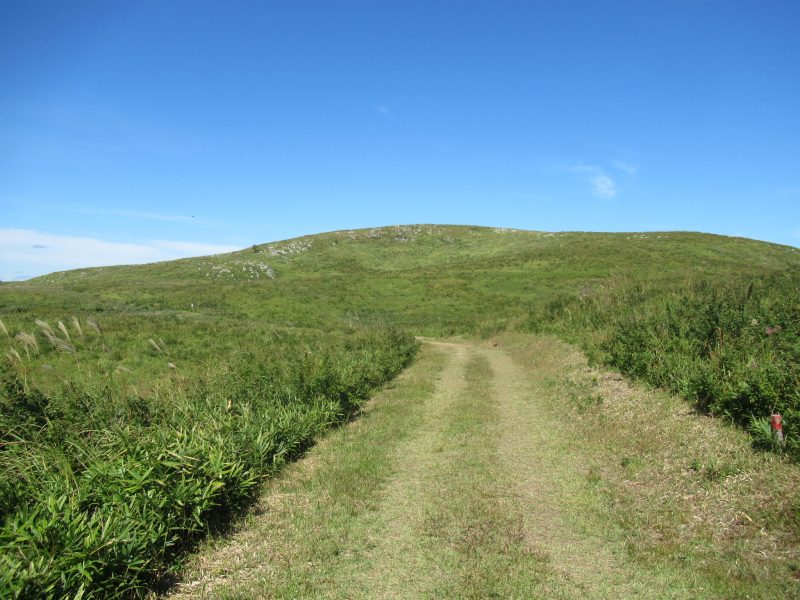 Akiyoshidai, Yamaguchi (3) | Japan City Tour | Travel agency in Tokyo Akiyoshidai walking trail