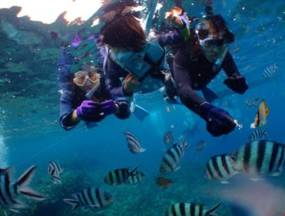 snorkeling okinawa | Japan City Tour | Travel agency in Tokyo snorkeling in Japan