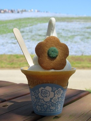 hitachi_04 | Japan City Tour | Travel agency in Tokyo nemophila ice cream