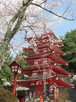 arakurayama_04 | Japan City Tour | Travel agency in Tokyo Chureito five-storied pagoda in Kawaguchiko, Japan with cherry blossoms